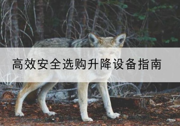 东安升降货梯厂家推荐-*安全选购升降设备指南